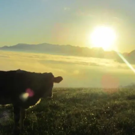 Koglhof * Fischbachau