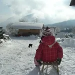 Koglhof *